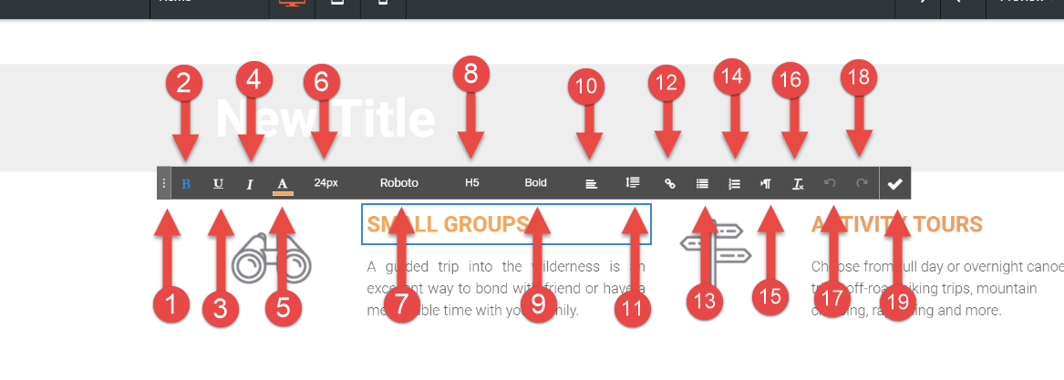 Inline text options diagram with each inline option labelled number 1 through 19.