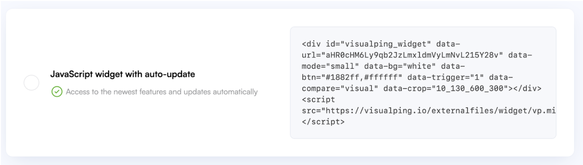 Code for JavaScript widget in Visualping