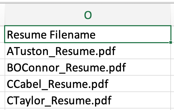 Close up of Resume filename column in bulk candidate import spreadsheet.