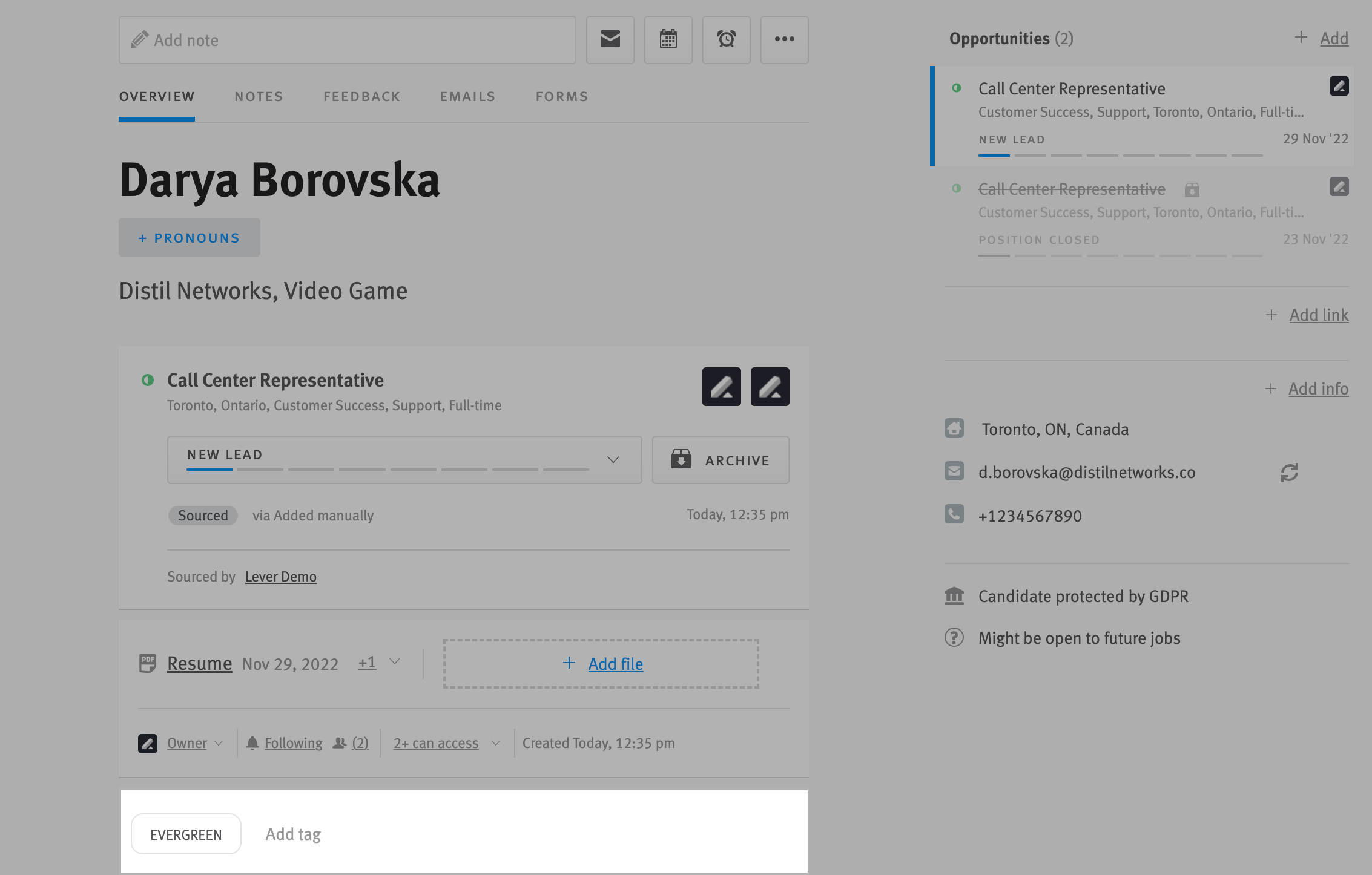 Tags field on candidate profile highlighted; fiel contains tag labelled EVERGREEN