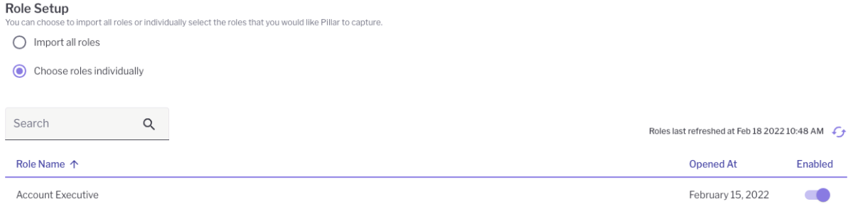 Pillar platform showing role set up page with choose roles individually option selected