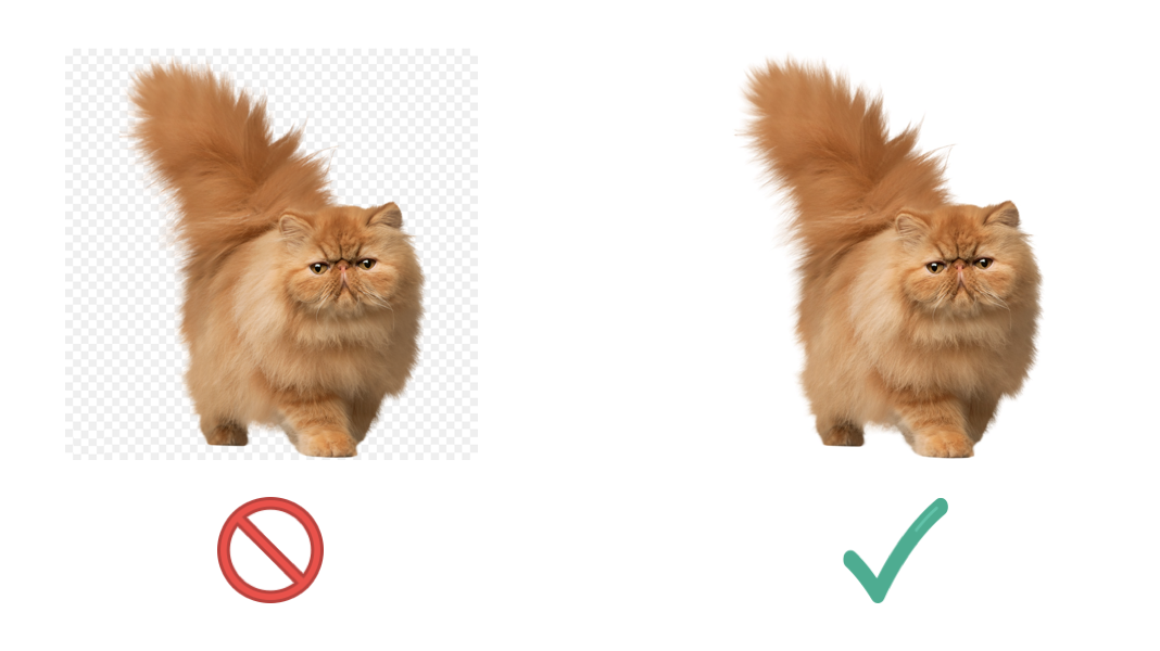 image with solid color background.