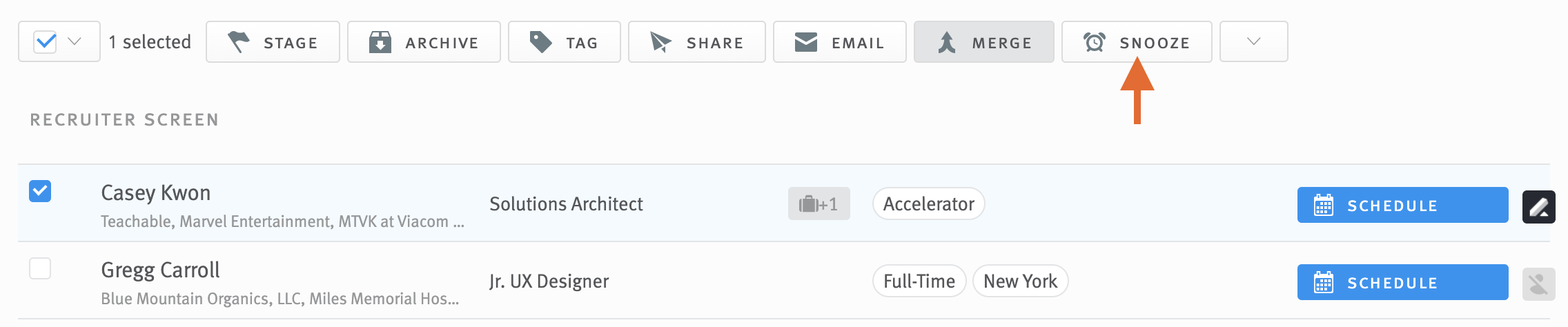 Opportunity list with one opportunity checkbox selected and arrowing pointing to Snooze button in bulk action toolbar.