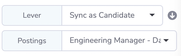 Lever and postings fields in Chrome extension