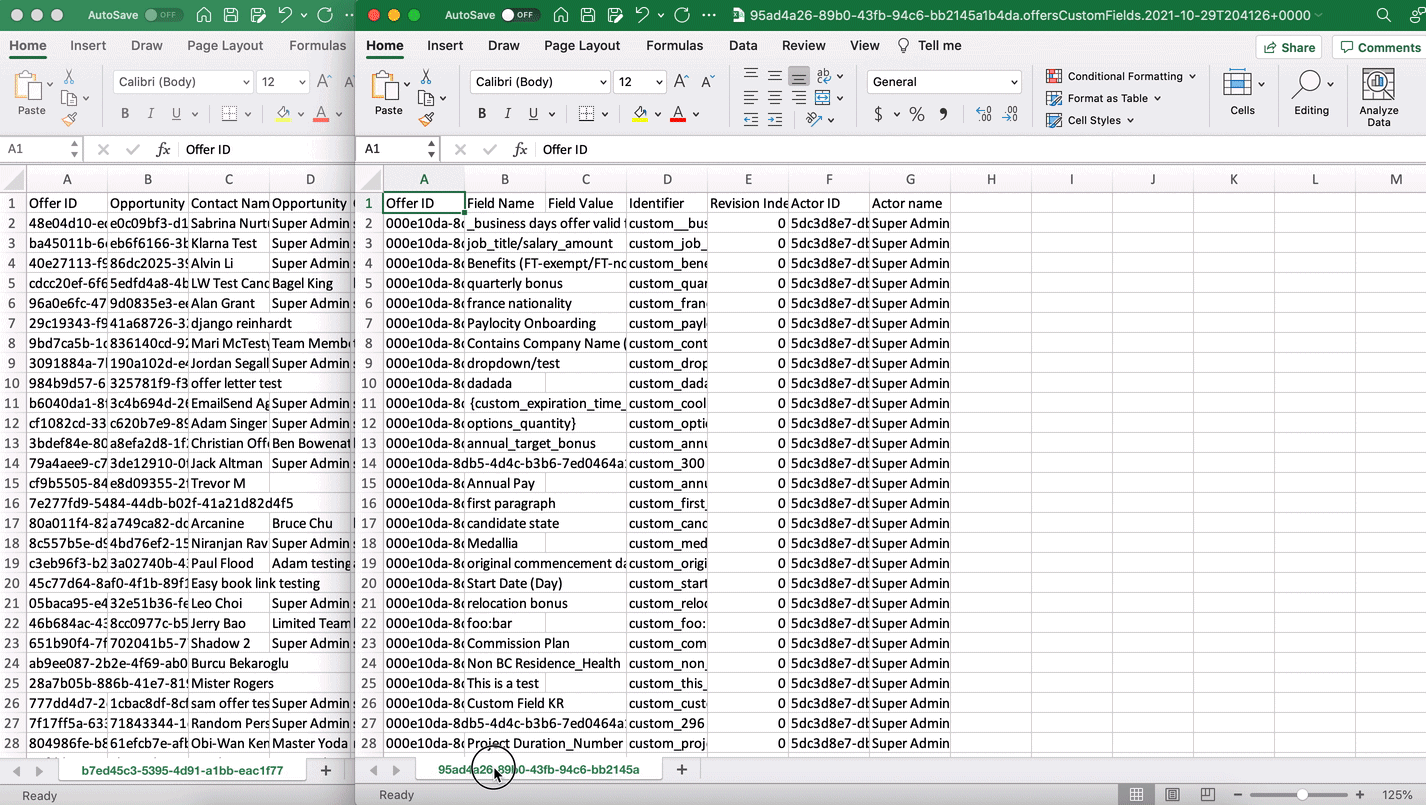 Live image of Offeres custom fields spreadsheet being dragged into the Offers spreadsheet.